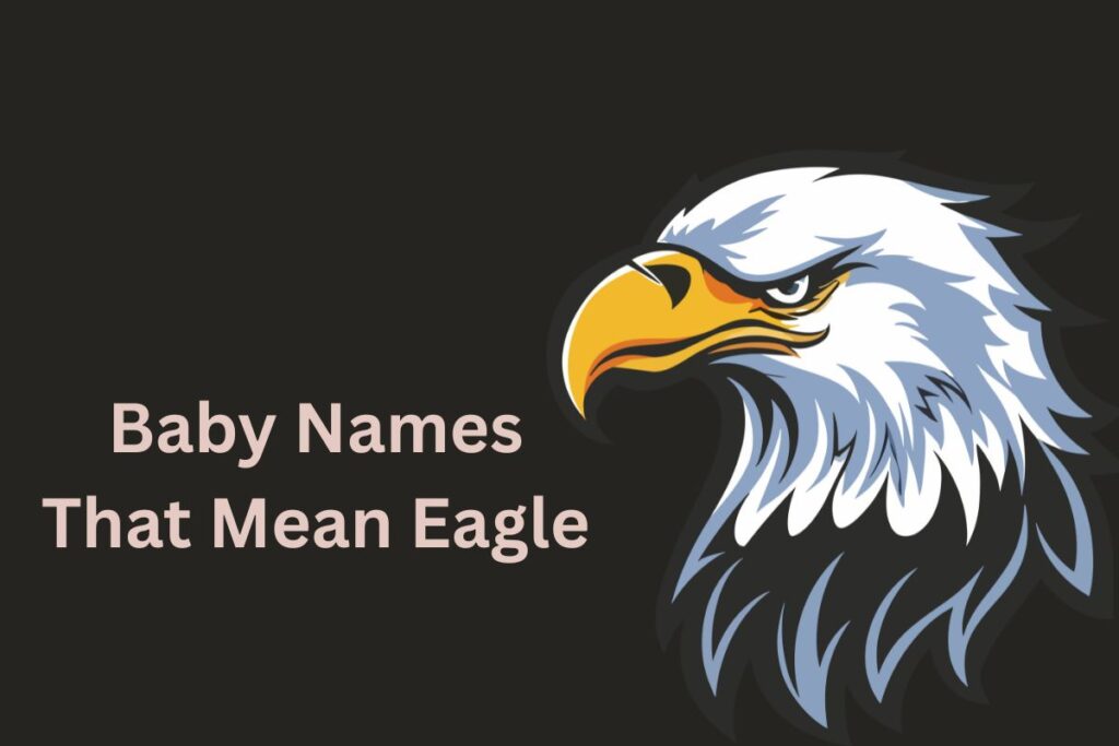 Baby Names That Mean Eagle